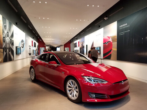 People look at Cars inside Tesla Store