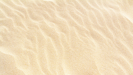 Naklejka na ściany i meble Rippled sand on the sea coast formed by wind and water, background, texture, pattern, banner