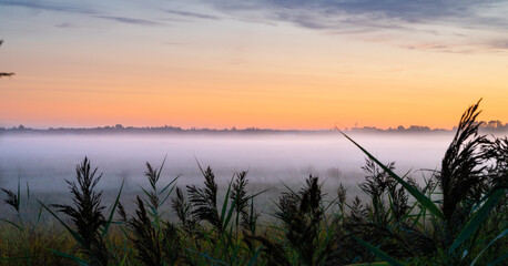 Landschaft im Nebel