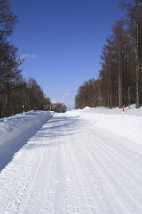 Obraz premium 雪道