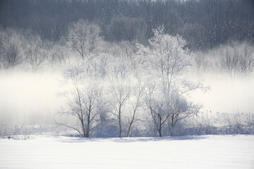 樹氷とけあらし