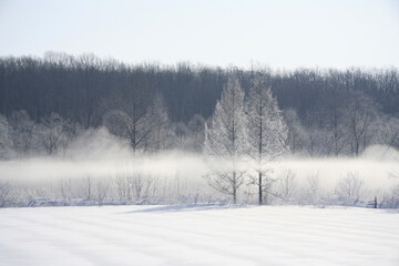 樹氷とけあらし