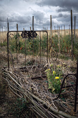 Old rusty bed turned into a flower bed in a permaculture garden