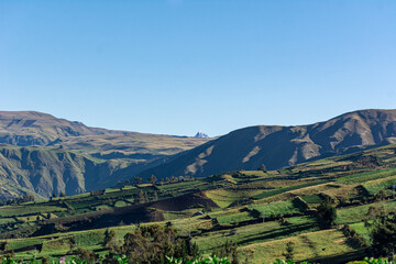 Fototapeta na wymiar Green fields of Ecuador, beautiful valleys of the Andes Mountains