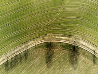 Top down view on field with tractor tracks