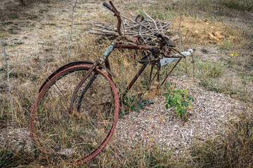 Rusty bicycle as decoration in permaculture garden