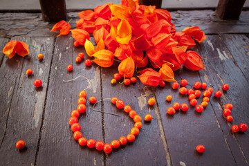 Seeds of physalis. Beads from seeds of physalis. The beads from berries of physalis.