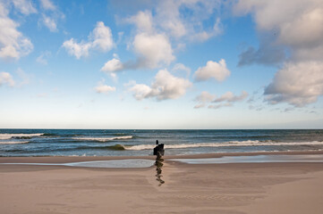 Naklejka premium at the baltic sea