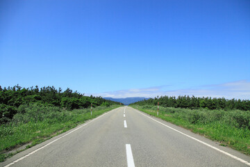 Fototapeta premium 一本道