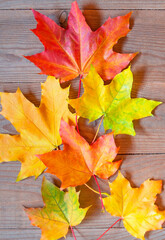 Naklejka na ściany i meble Autumn yellow and orange leaves on wooden background. fall wooden background