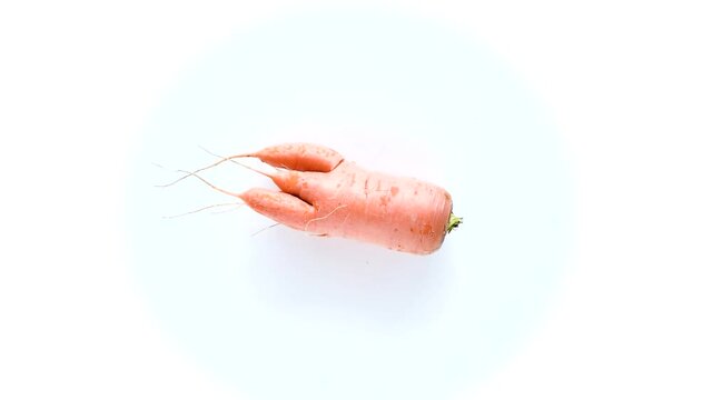 Ugly carrot rotate on a white background. Funny, unnormal vegetable or food waste concept. Horizontal orientation top view