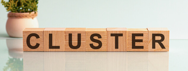 Wooden block with words Cluster on the white background, concept background.