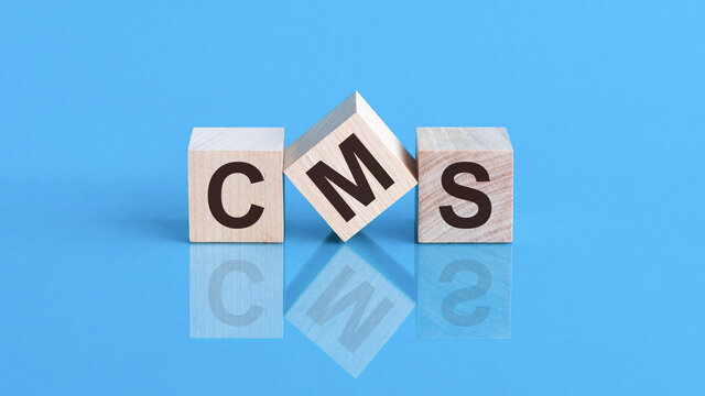 Word CMS made with wood building blocks, stock image