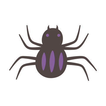 spider creepy insect isolated design icon