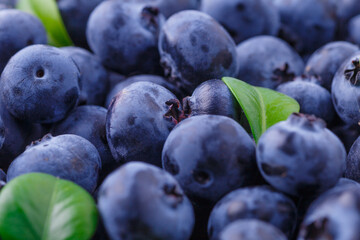 Fresh blueberry background. Blueberry Texture Close Blueberry Antioxidant Organic Superpeed Bowl Concept Healthy Nutrition