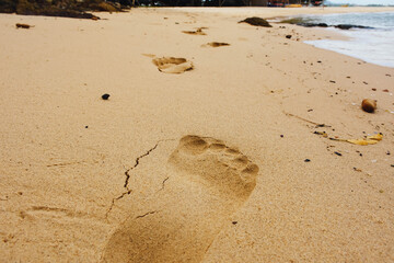 Fototapeta na wymiar Close-up of footprints on the tropical beach. 