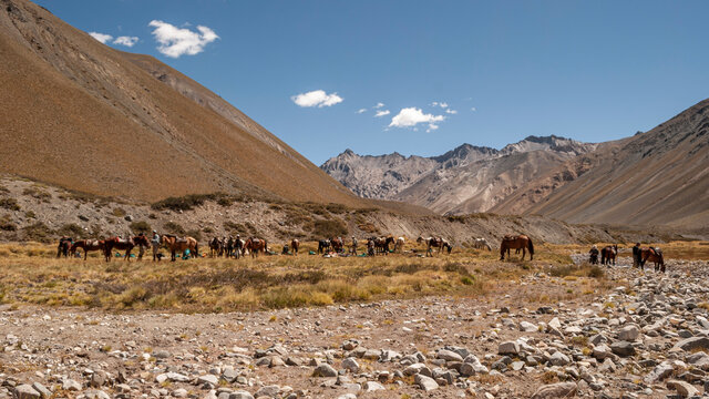 cabalgata en la cordillera de los andes