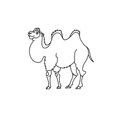 Bactrian Camel vector illustration. Line drawing of a desert animal silhouette.