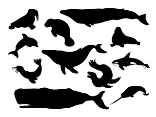 Whale and seal silhouette vector illustration. Ocean animals: killer, blue, sperm and humpback whale, walrus, seal, narwhal, dolphin, manatee, leopard seal. © Olga