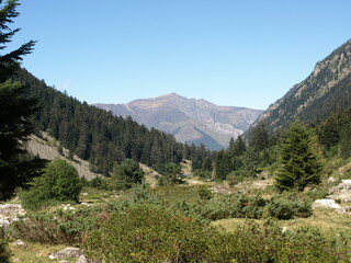 Fototapeta na wymiar Chemin de randonnée en Pyrénées