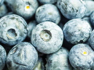 Macro shot with the focus in the center of many delicious blueberries