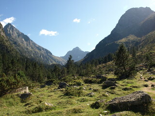 Vallée des Pyrénées