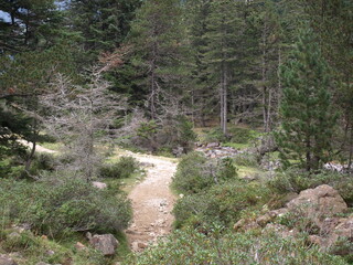 Sentier randonnée Pyrénées