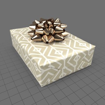 Wrapped Christmas gift 3