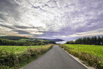 Fototapeta na wymiar Relaxing road surrounded by lots of flora and very colorful that leads us to the sea with a cloudy but spectacular sky.