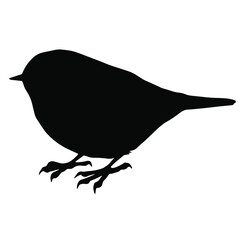 Hand drawn vector silhouette of standing ruby-crowned kinglet isolated on white background. Black and white  stock illustration of wild bird.