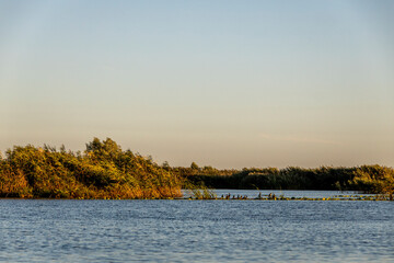 Danube Delta, Romania