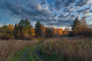 Fototapeta premium Mown meadow against a background of forest and blue sky with white clouds. The end of the summer.