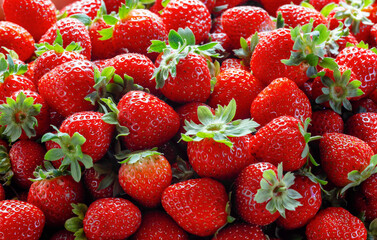 Fresh ripe harvested strawberries texture background, Summer fruit, strawberry ( Fragaria )