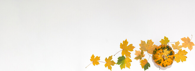 Pumpkin surrounded by yellow maple leaves on a white background. With space for text.