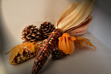 Still Life with Indian corn, a gourd and pine cones.