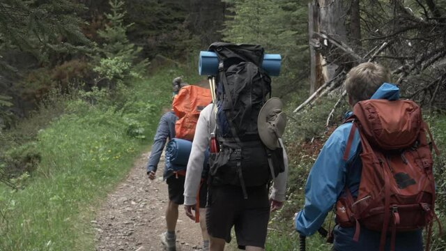 Hikers with camping equipment on trial in woods