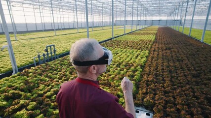 Old caucasian agronomist wearing virtual glasses monitoring plantations. Close-up of gardener umanaging climate controlling cultivation of greenhouse.