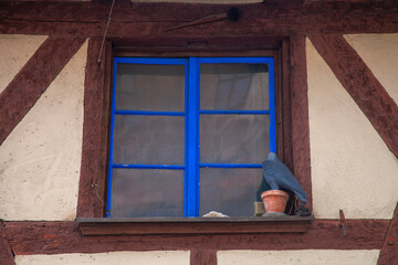 Fototapeta na wymiar A colourful blue window in the old house with wooden beams
