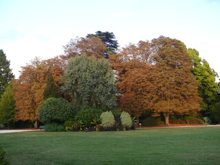 Paysage d'automne