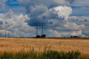 Tall metal power line poles stand in a wheat field against a cloudy sky background