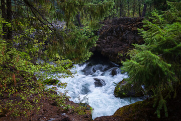 Stream in Crater Lake National Park 