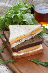 sandwich with salami and vegetables