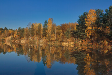 Fototapeta na wymiar Autumn landscape, forest trees are reflected in calm river water against a background of blue sky and white clouds.
