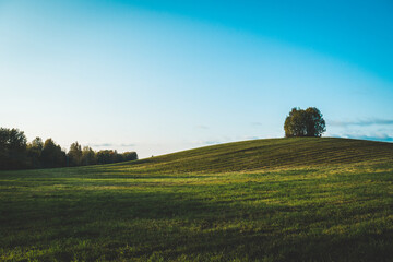 Beautiful landscape, a large green field.