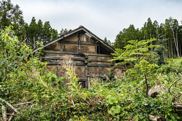 Fototapeta na wymiar 日本の高地の放棄され廃屋になった木造の建物