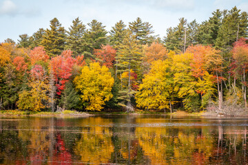 A vibrant lake with foliage in the Adirondacks.  - 382024909