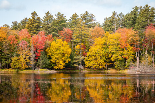 A vibrant lake with foliage in the Adirondacks. 
