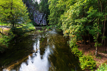 Wild summer Landscape around the Creek in the Czech Switzerland, Czech Republic