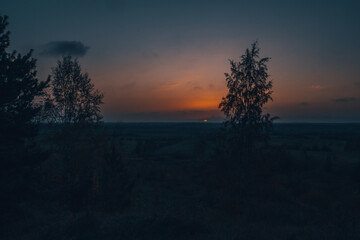 Sunset in nature against the backdrop of forest,