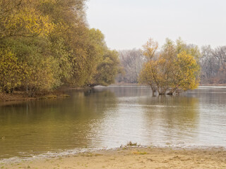 Autumn colors along the Danube River - Szentendre, Hungary